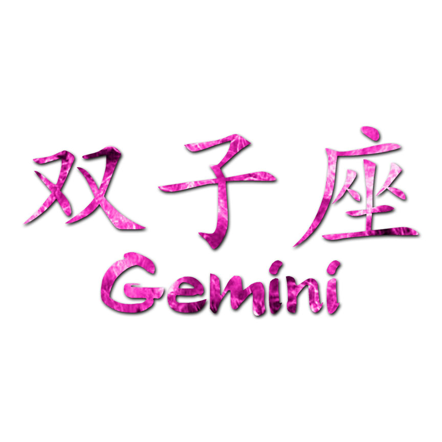 Gemini Chinese Symbols - Decal Sticker - Multiple Patterns & Size